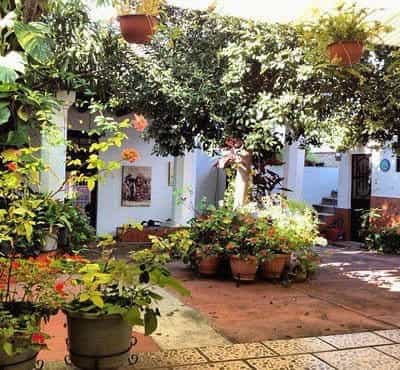 TEFL Accommodation Chiapas