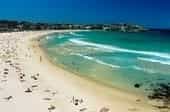 Tefl Sydney
